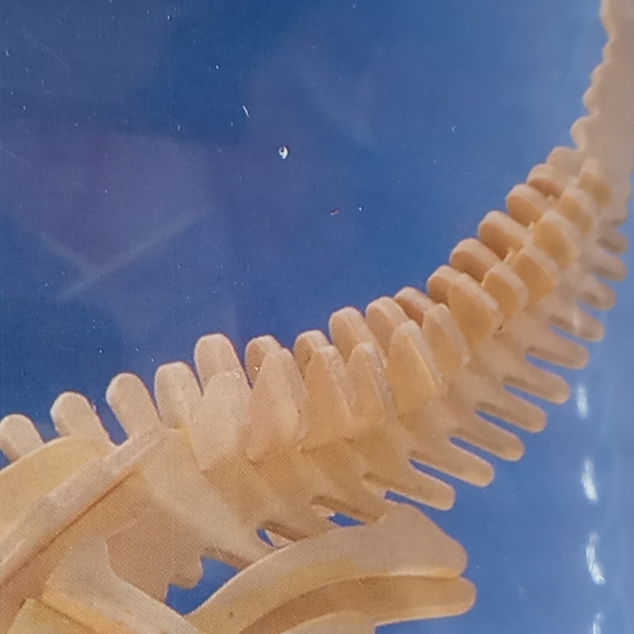 PARASAUROLOPHUS DINOSAUR - Picture 5 of 9